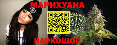 сатива Будённовск