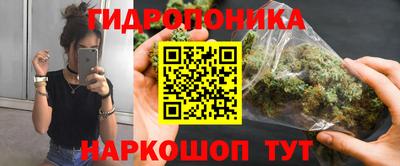 сатива Будённовск