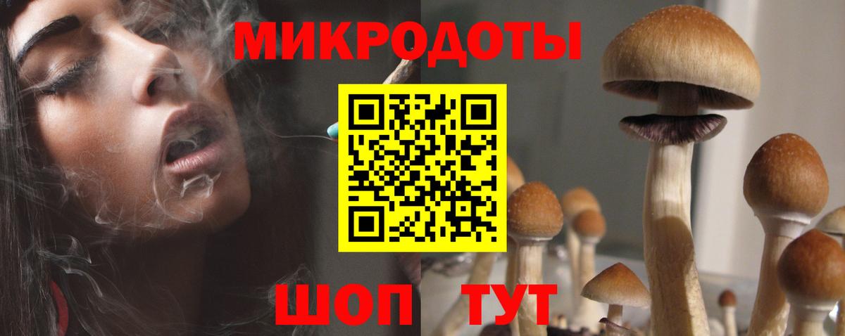 Кувандык  Галлюциногенные грибы прущие грибы  Вход с VPN 