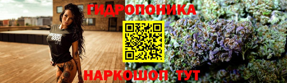 Бошки марихуана семена  Вход с VPN  Канабис VHQ  Кувандык  Канабис OG Kush 